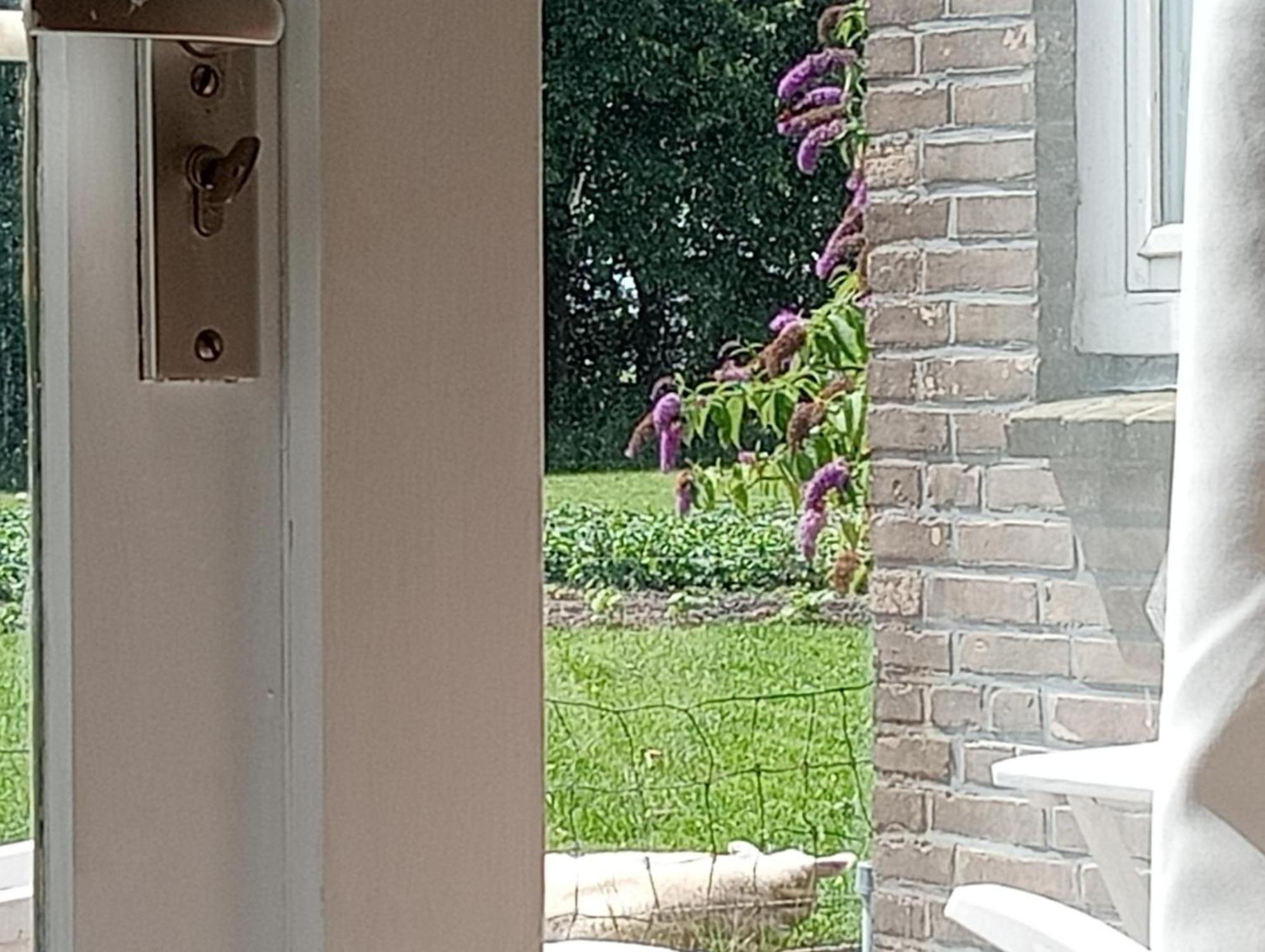 In Het Mooie Friesland Vele Bezienswaardigheden Hantum Exterior foto